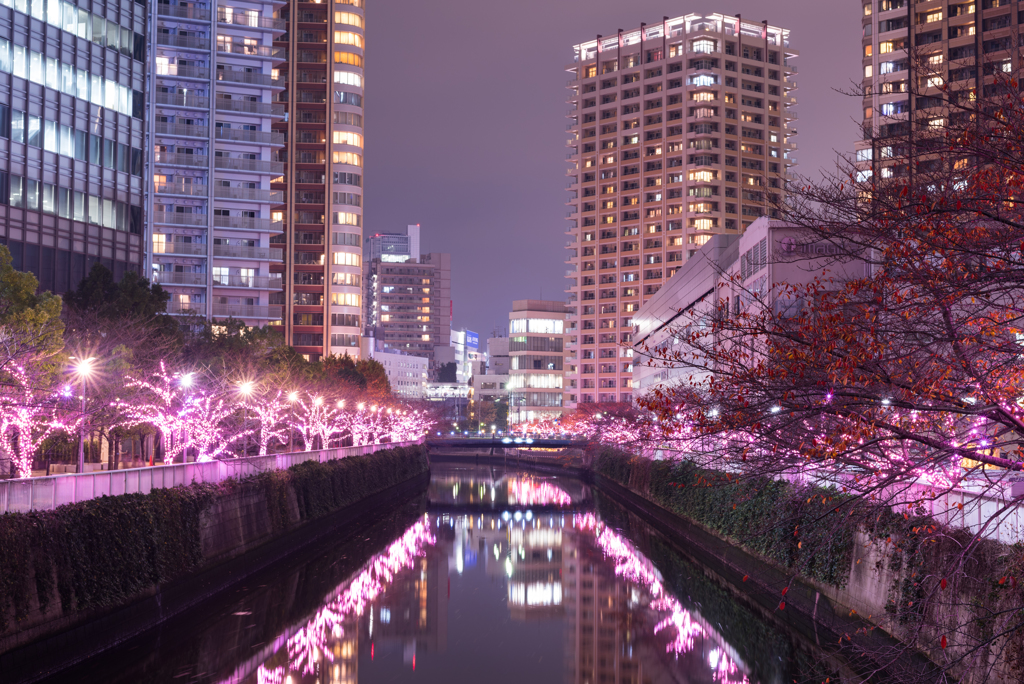 目黒川