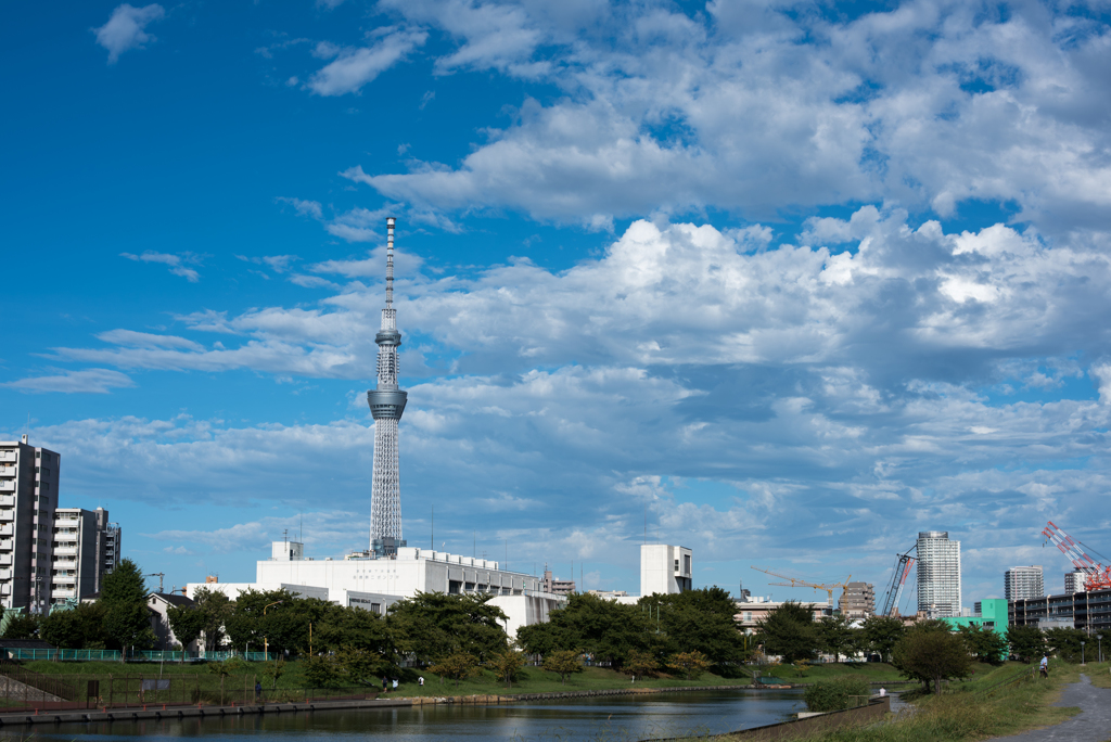 ある日の朝
