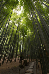 竹林　２