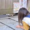 福くん