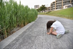 もう歩けない