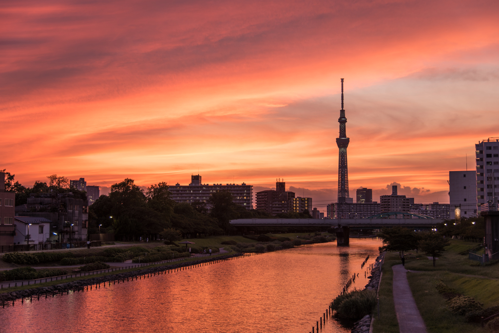 夕焼けとスカイツリー