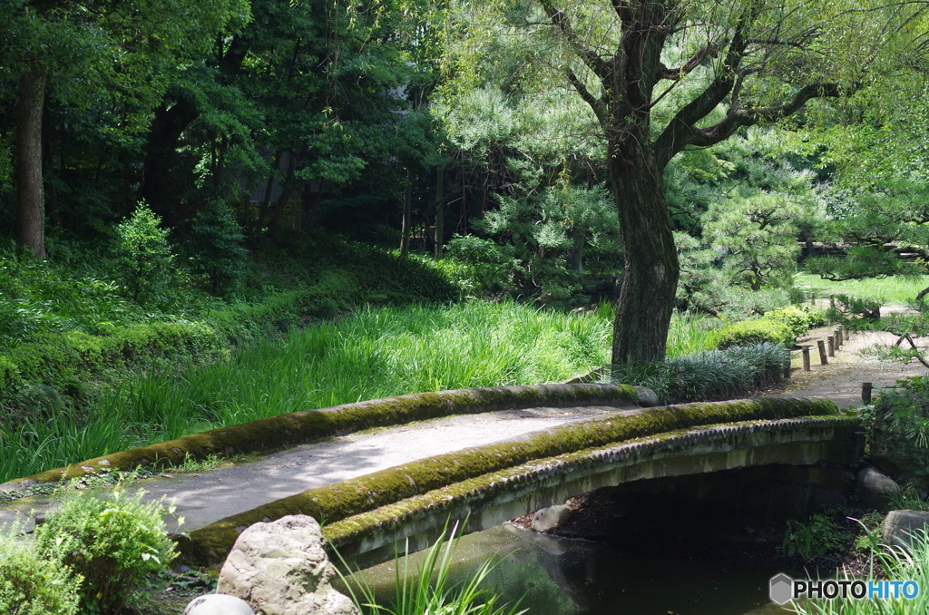 橋のある風景２