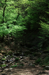 山景
