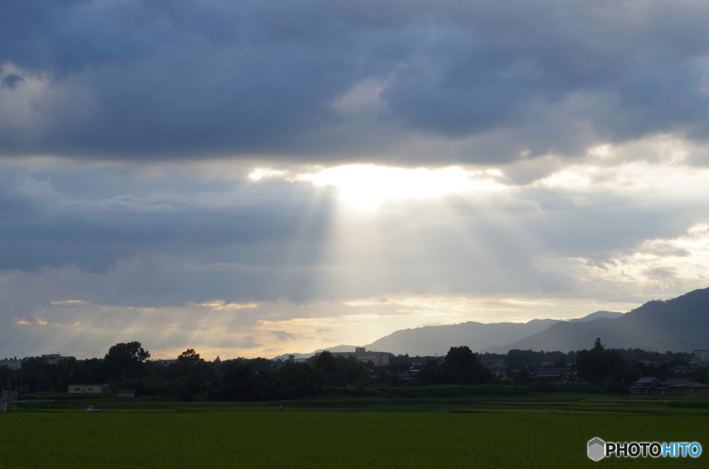 田園ー光芒１