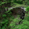 沢に架かる橋