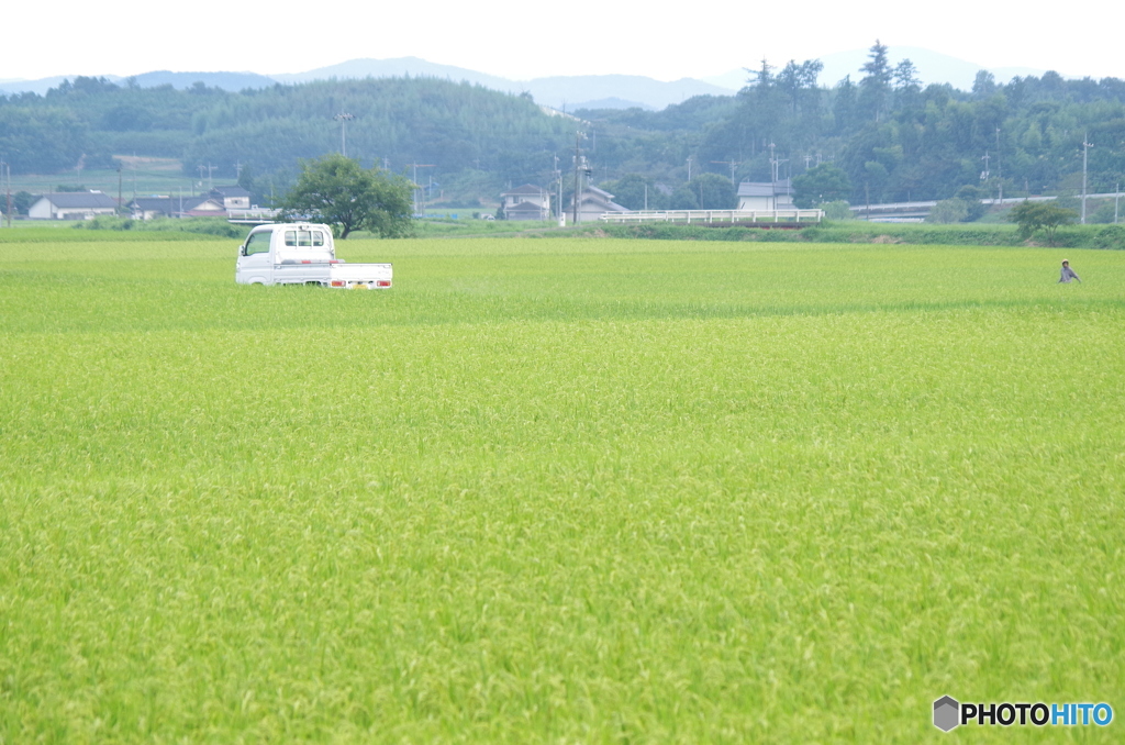 田園-軽トラのある風景