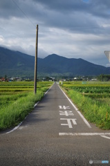 田園ーどこまでも続く道