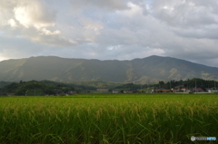 田園ー山並みを背に