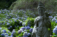 仏像と紫陽花