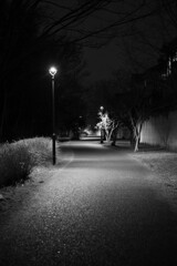 夜の遊歩道