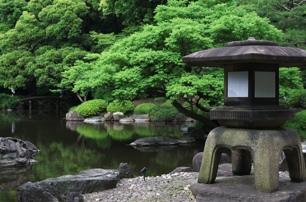 新緑の日本庭園