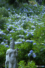 紫陽花と仏像