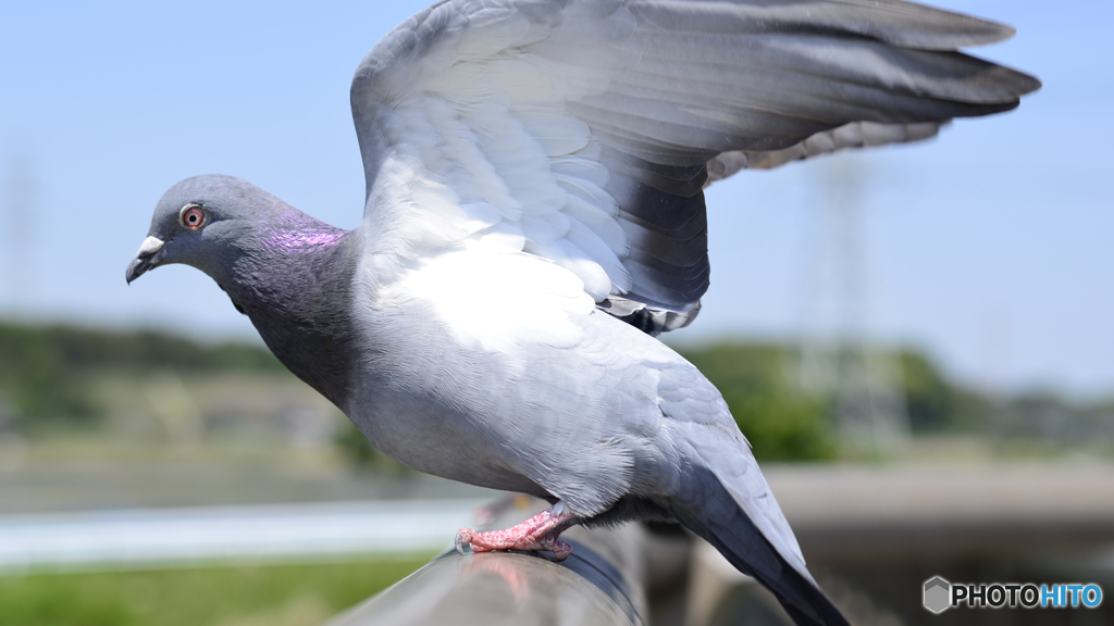 空へ