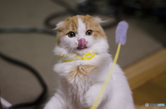 夢中