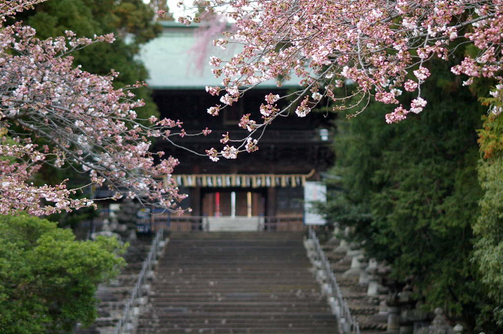 東照宮の春