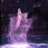 jump！