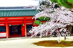 桜 平安神宮寺
