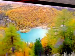 スイス　列車から観た風景