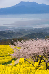 春の白木峰高原