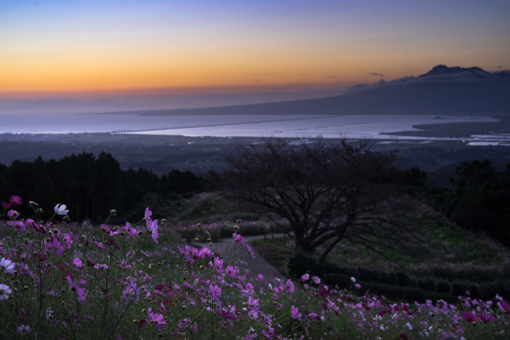 夜明け前の白木峰