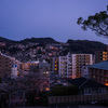 夕暮れII
