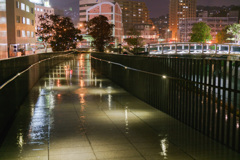 雨の散歩道