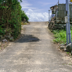 COUNTRY ROAD