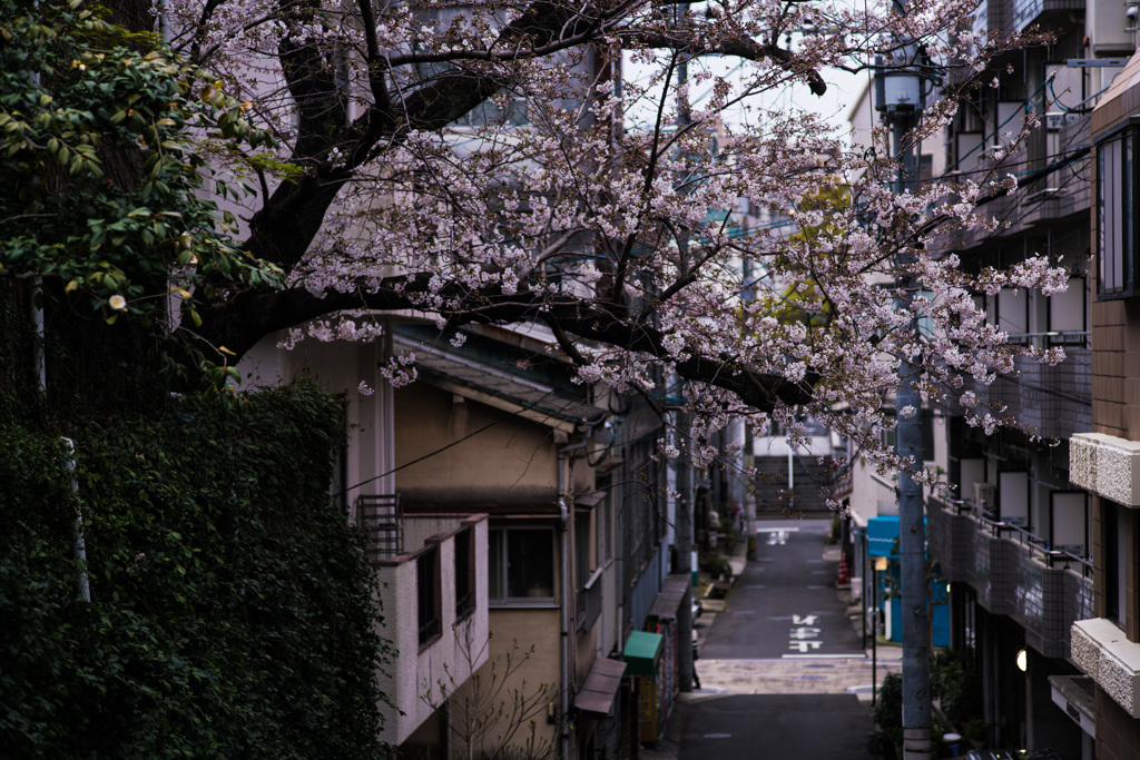 裏路地