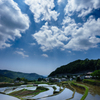 晴れやかな棚田と空