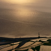 夕日に染まる海と棚田