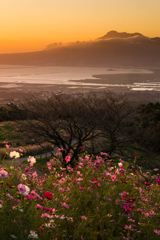 高原の朝景