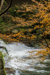 秋の渓流
