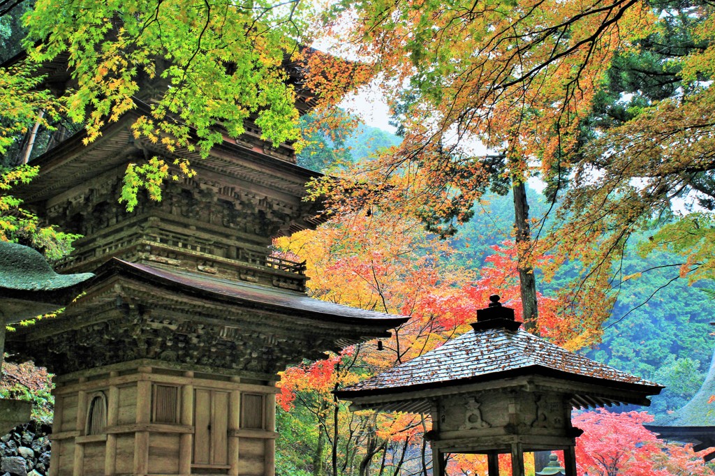 秋　横蔵寺