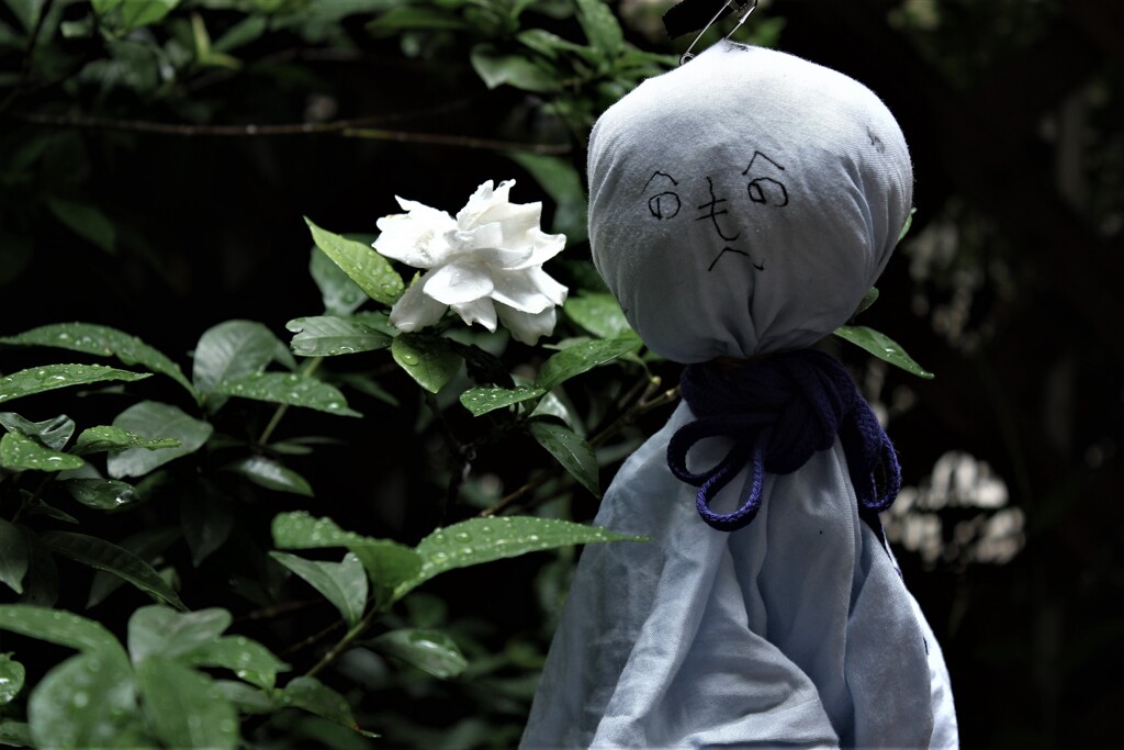 梅雨入り