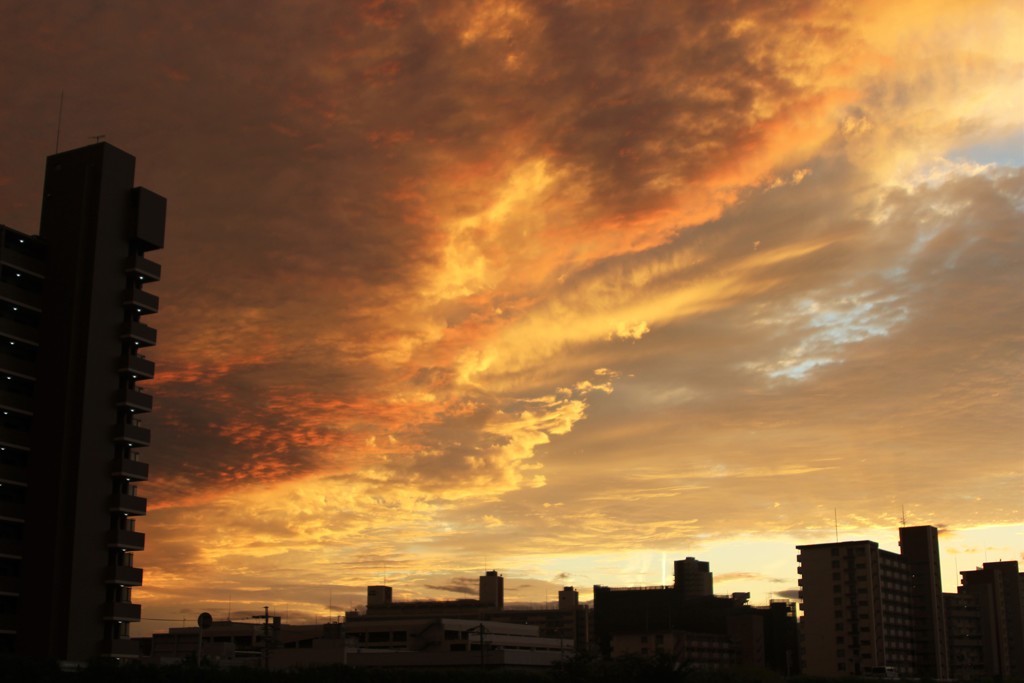 夕日燃え