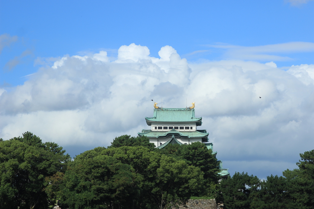 PHOTOHITO名古屋オフ会ご案内