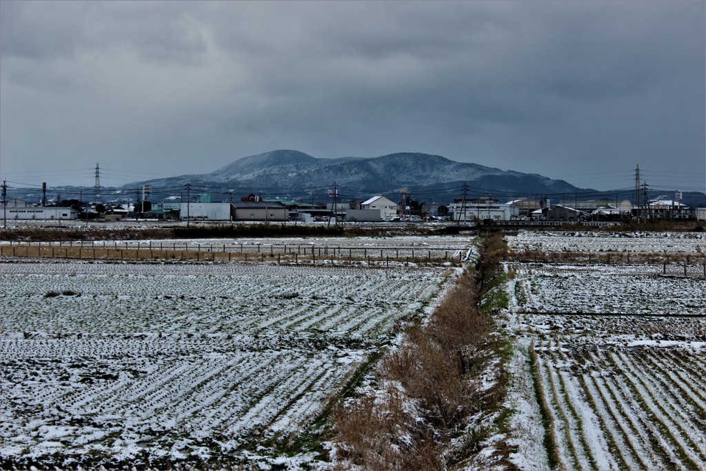 どカントリーブルース雪跡