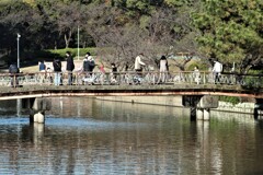 春　公園の橋