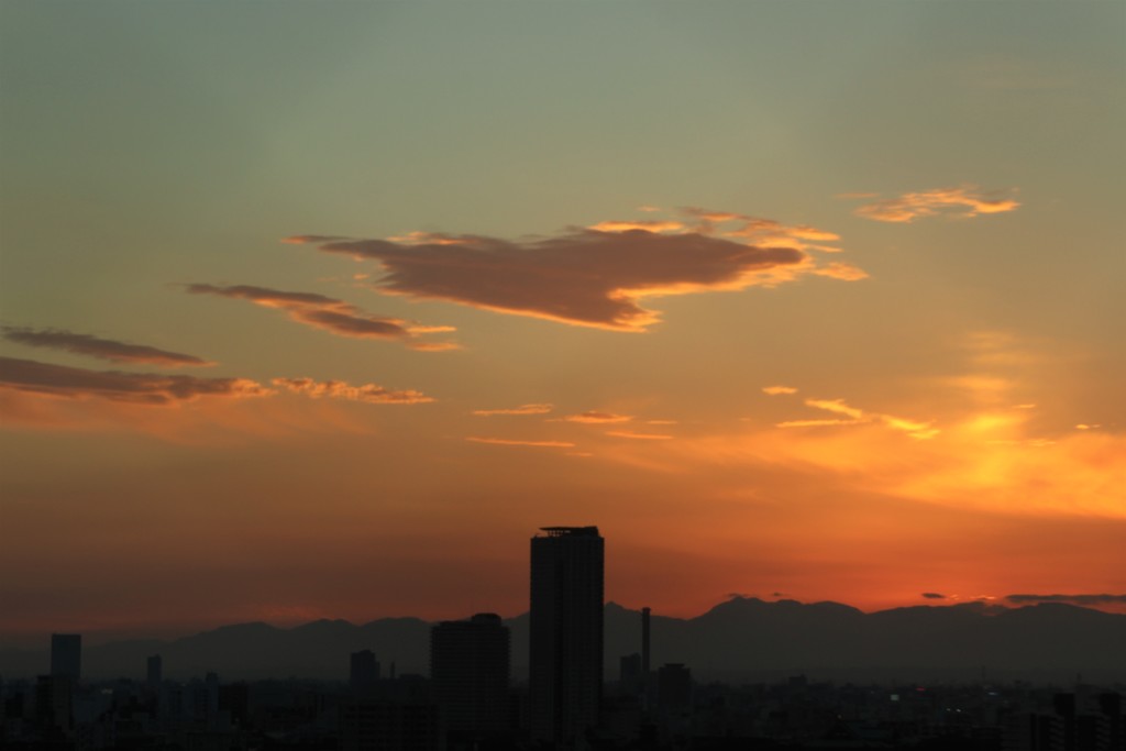 I like　nagoya