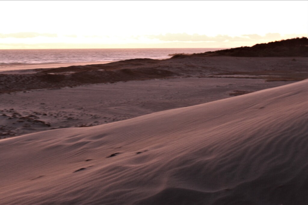 黄昏時の砂丘