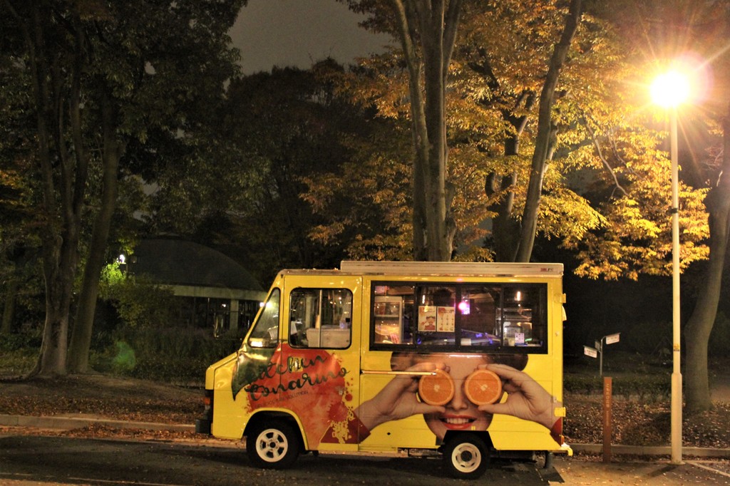 夜の公園