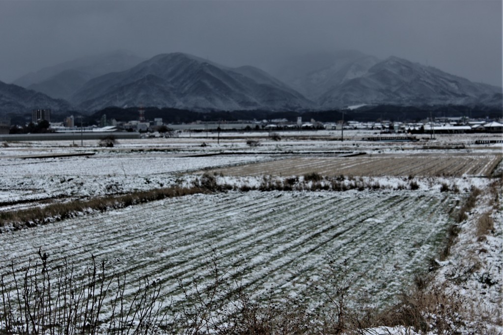 雪が空から降れば