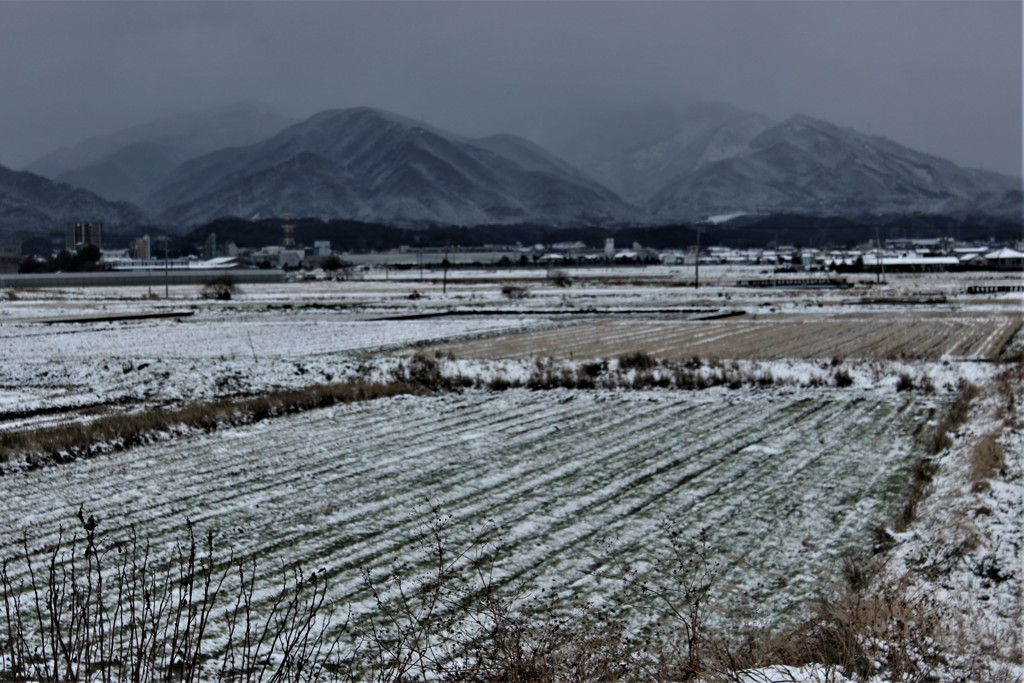 雪が空から降れば