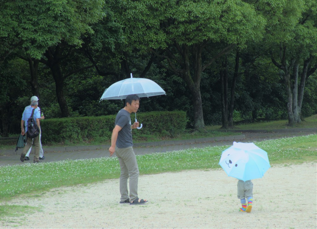 梅雨の合間 2