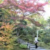 天龍寺の庭