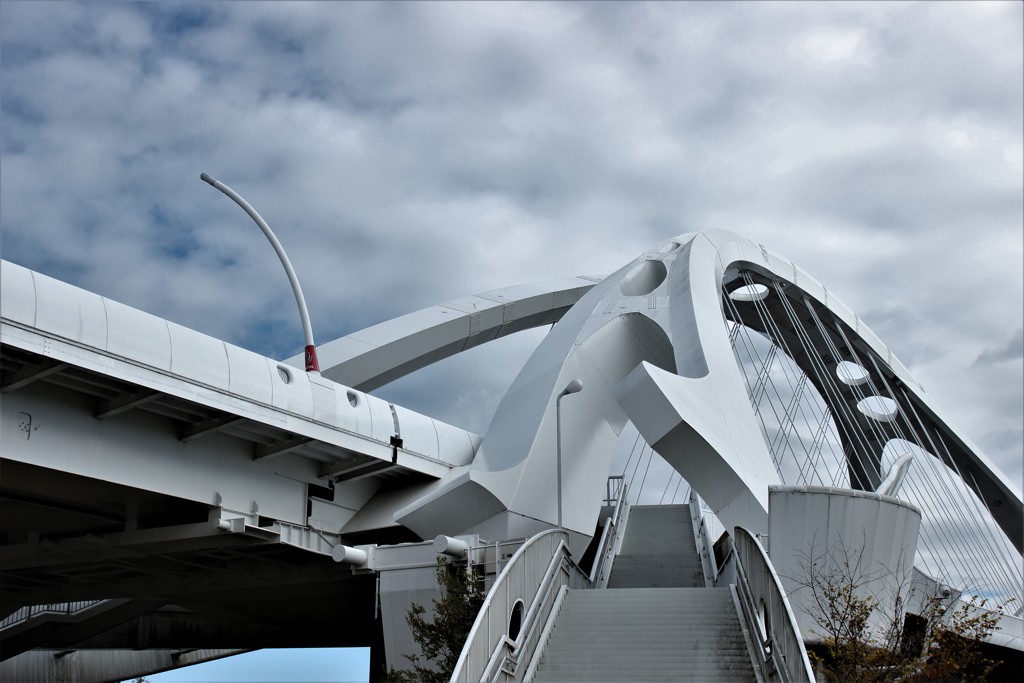 明日へかける橋