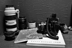 写真の日