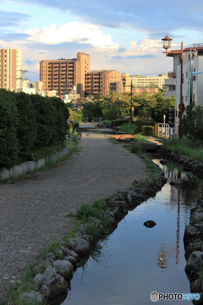 いつもの帰り道
