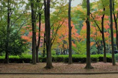 秋　名城公園